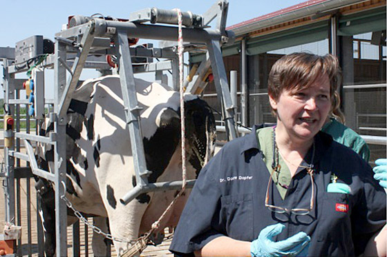 Dr. Doerte Doepfer