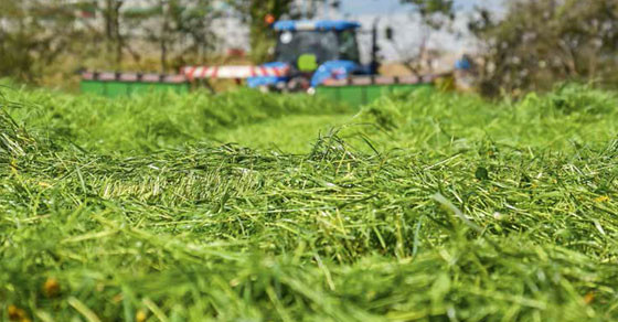 Schoon gras inkuilen