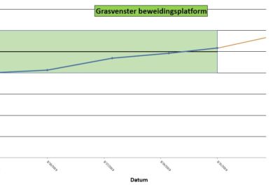 Gerelateerd-4