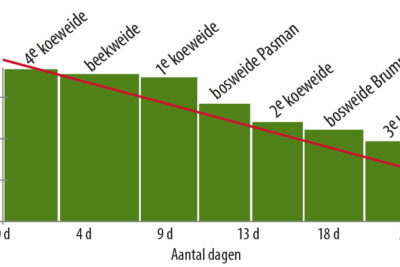 Gerelateerd-3